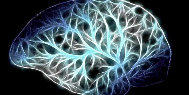 Két, a demencia kialakulásában érintett új idegsejttípust különítettek el magyar kutatók
